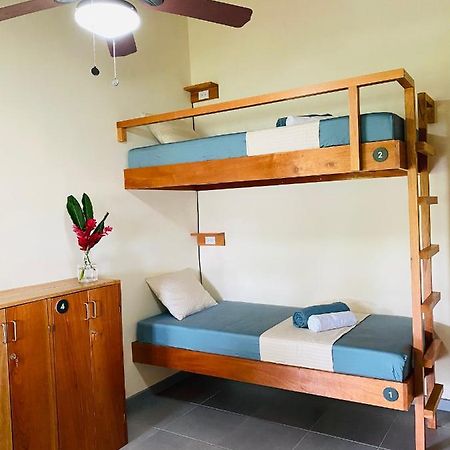 El Hostel Del Patio Тортугеро Экстерьер фото