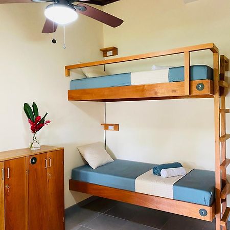 El Hostel Del Patio Тортугеро Экстерьер фото