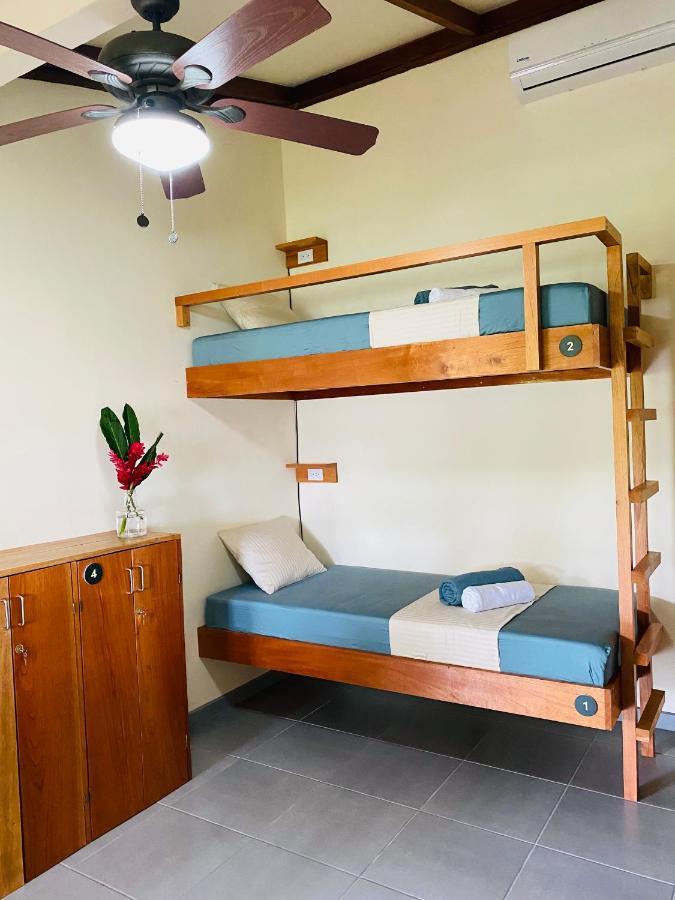 El Hostel Del Patio Тортугеро Экстерьер фото