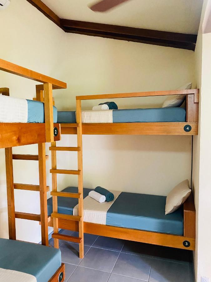 El Hostel Del Patio Тортугеро Экстерьер фото