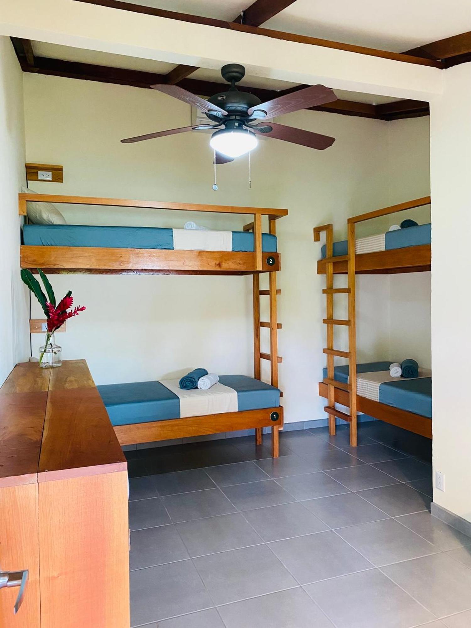 El Hostel Del Patio Тортугеро Экстерьер фото