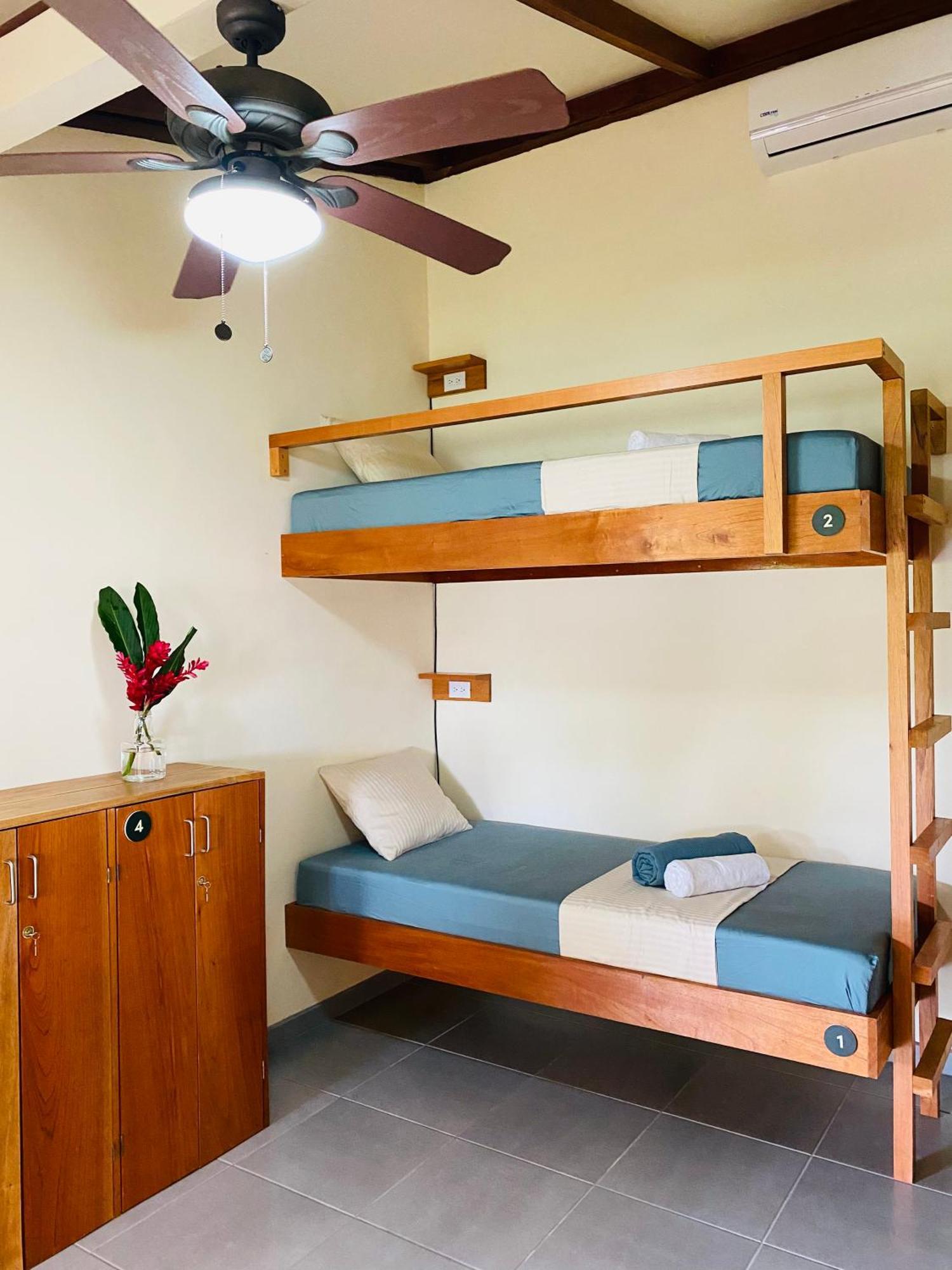 El Hostel Del Patio Тортугеро Экстерьер фото